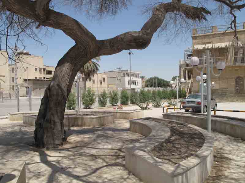میدان کوتی